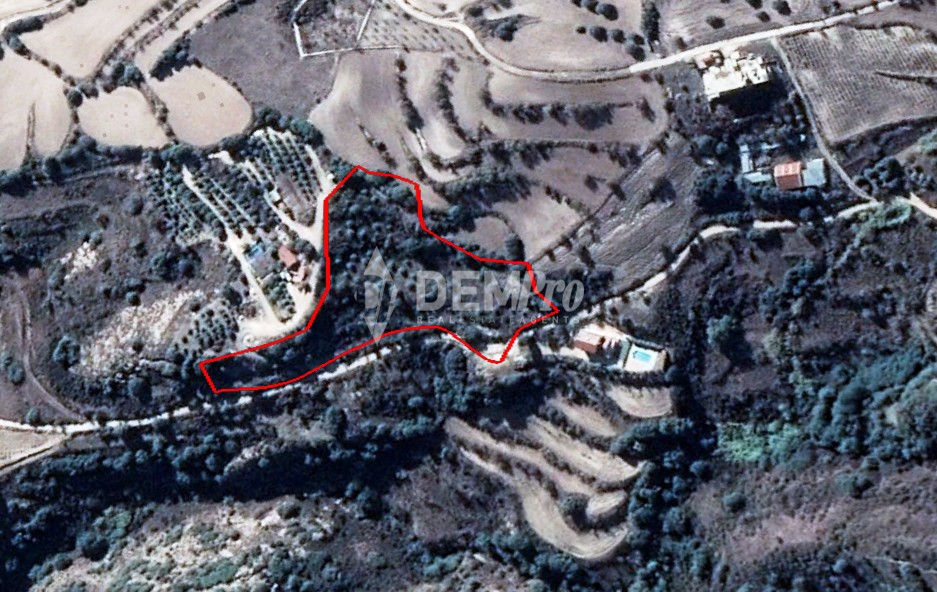 For Sale Agricultural Field in Pafos - Polemi Village 