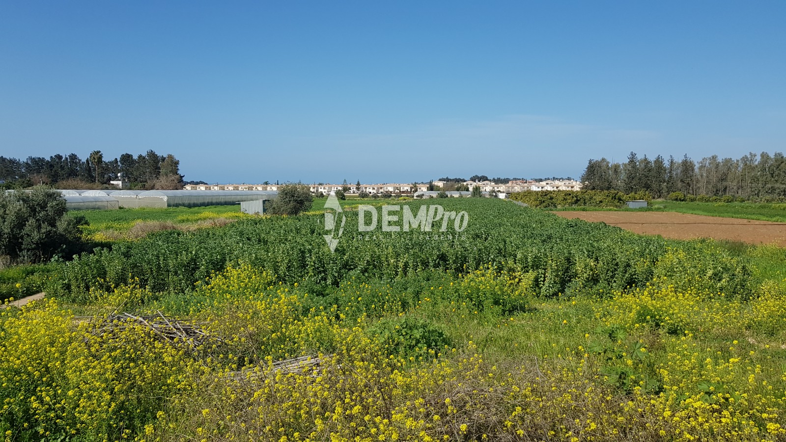 Residentila Land For Sale in Mandria of Paphos, Cyprus  