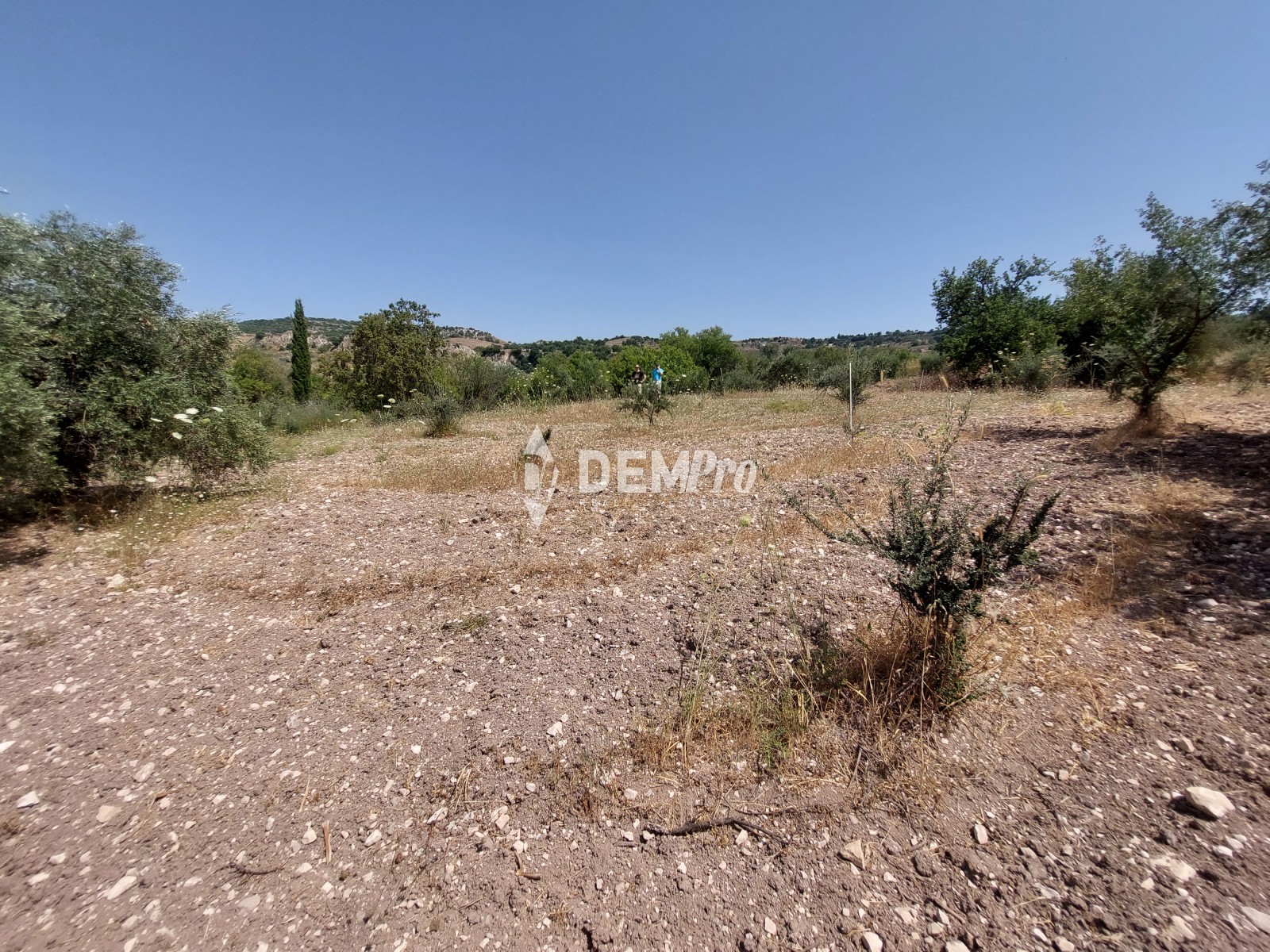 Agricultural Land in Fiti Paphos