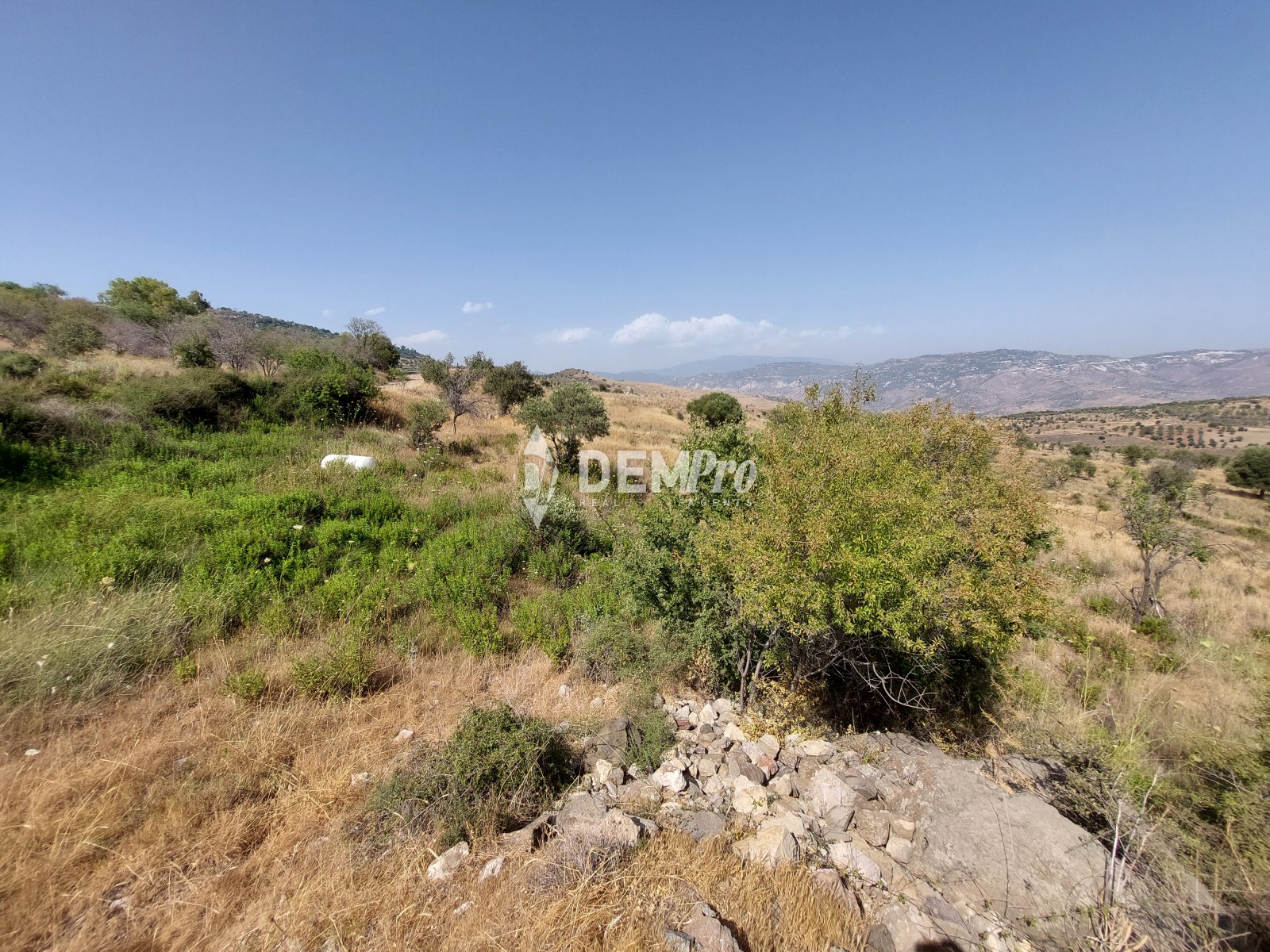 For Sale Agricultural Land in Pentalia - Paphos