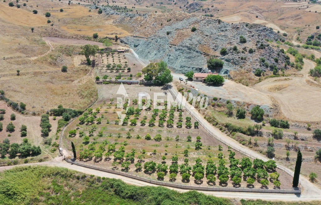 For Sale Country House in Choletria of Paphos - Cyprus 