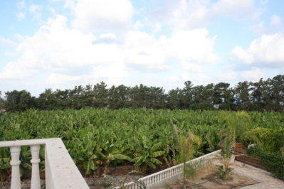 Brand New villa in Saint George for rent