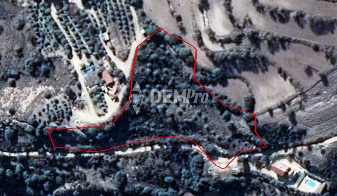 For Sale Agricultural Field in Pafos - Polemi Village 
