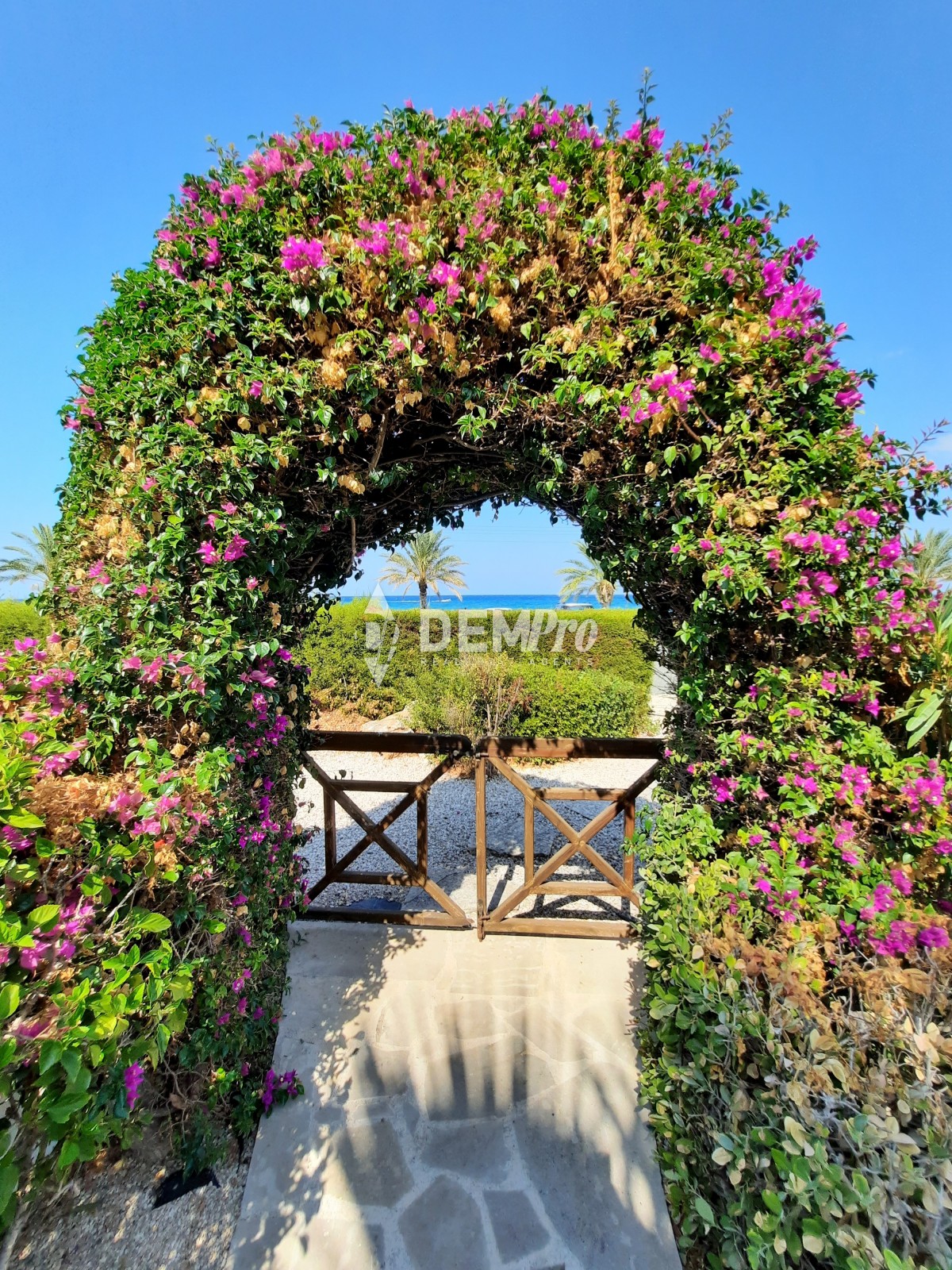 for sale seafront villa in latchi - polis - paphos - cyprus 