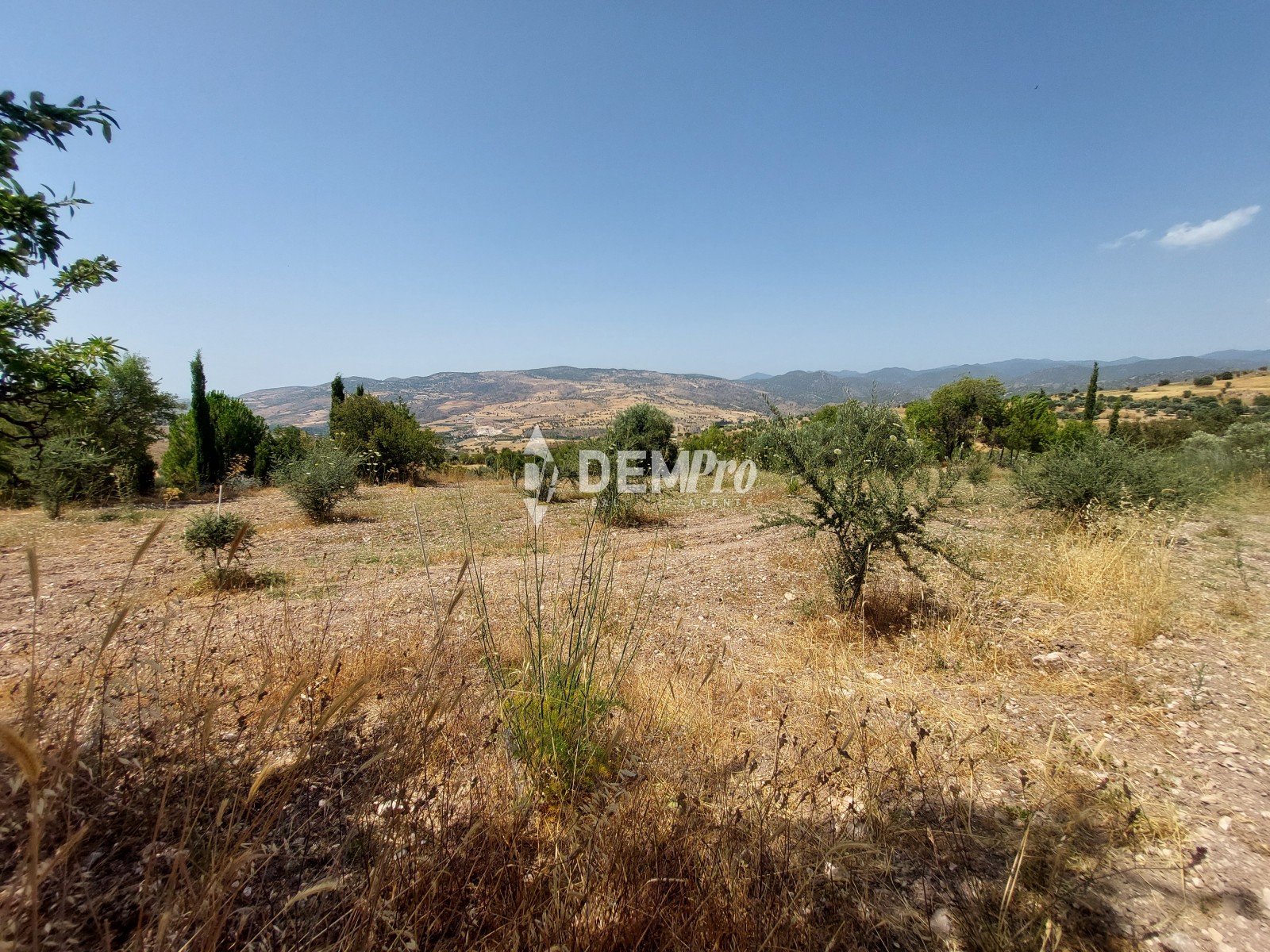 Agricultural Land in Fiti Paphos