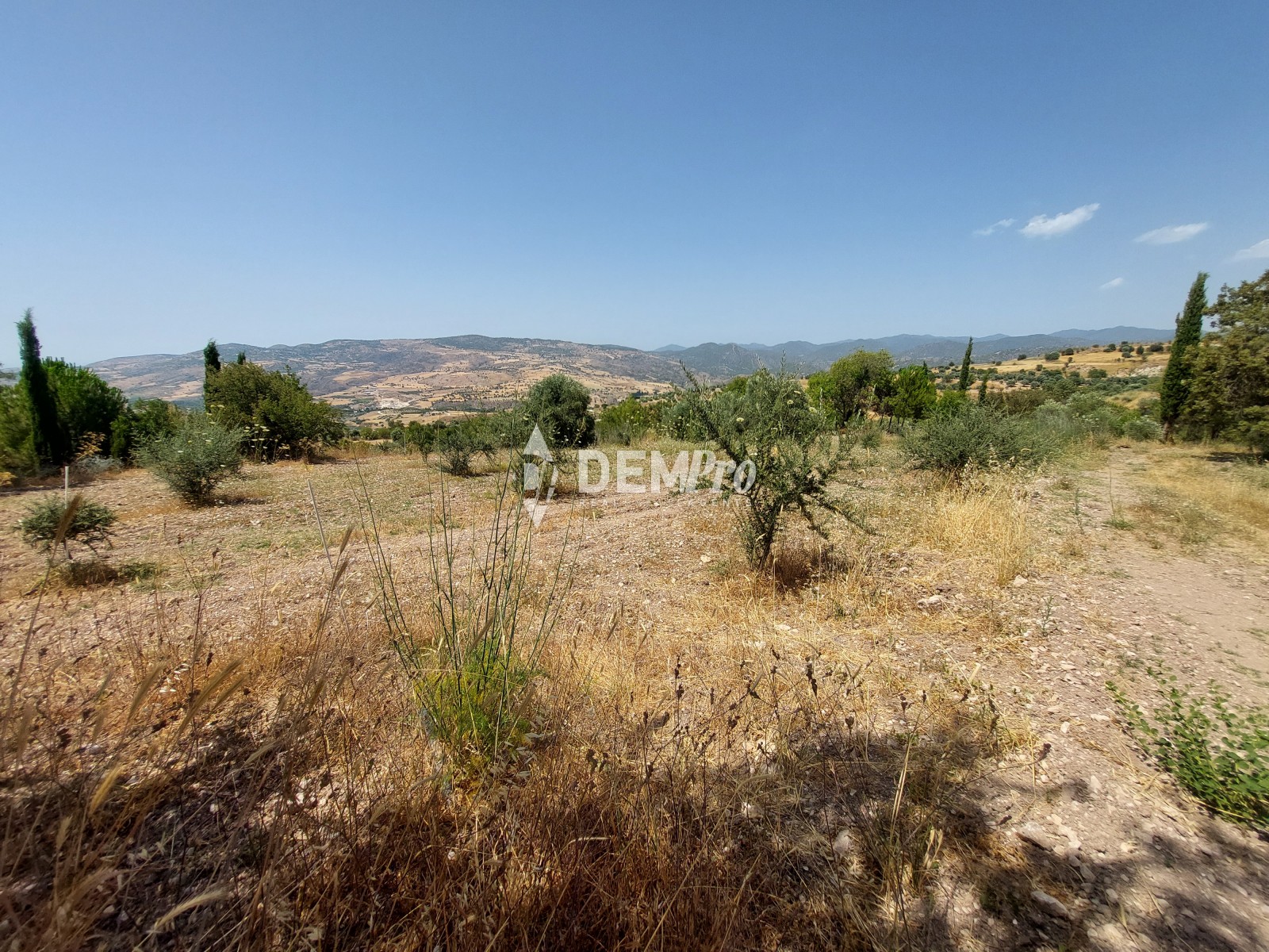 Agricultural Land in Fiti Paphos