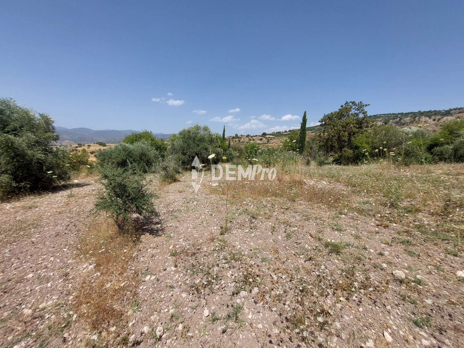 Agricultural Land in Fiti Paphos