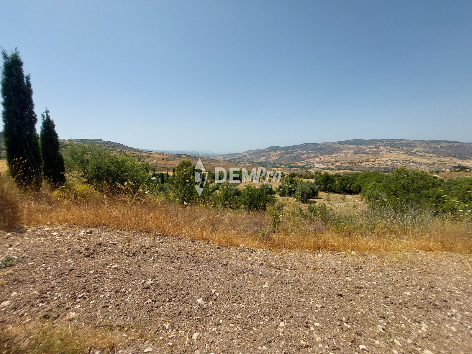 Agricultural Land in Fiti Paphos