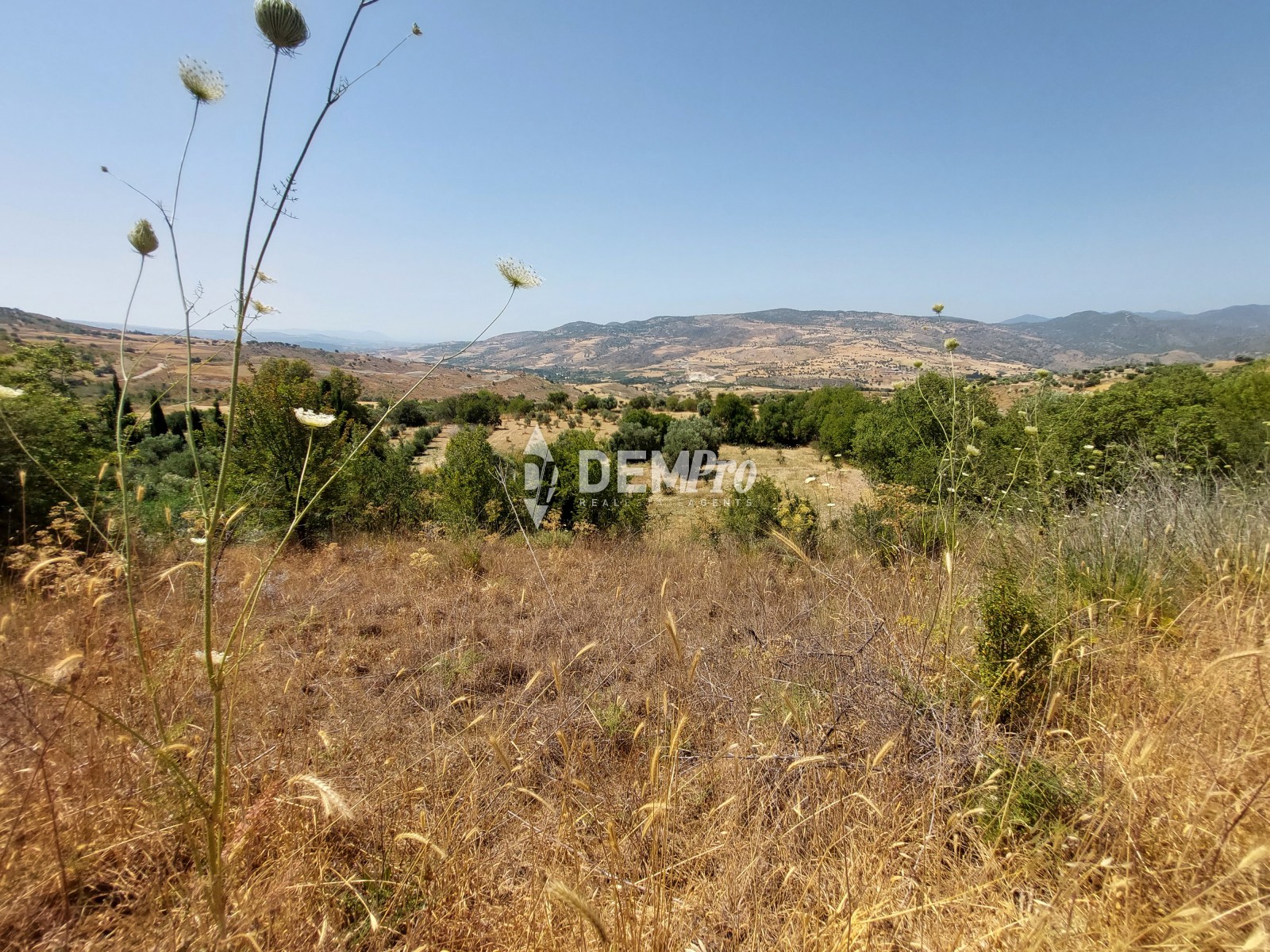 Agricultural Land in Fiti Paphos