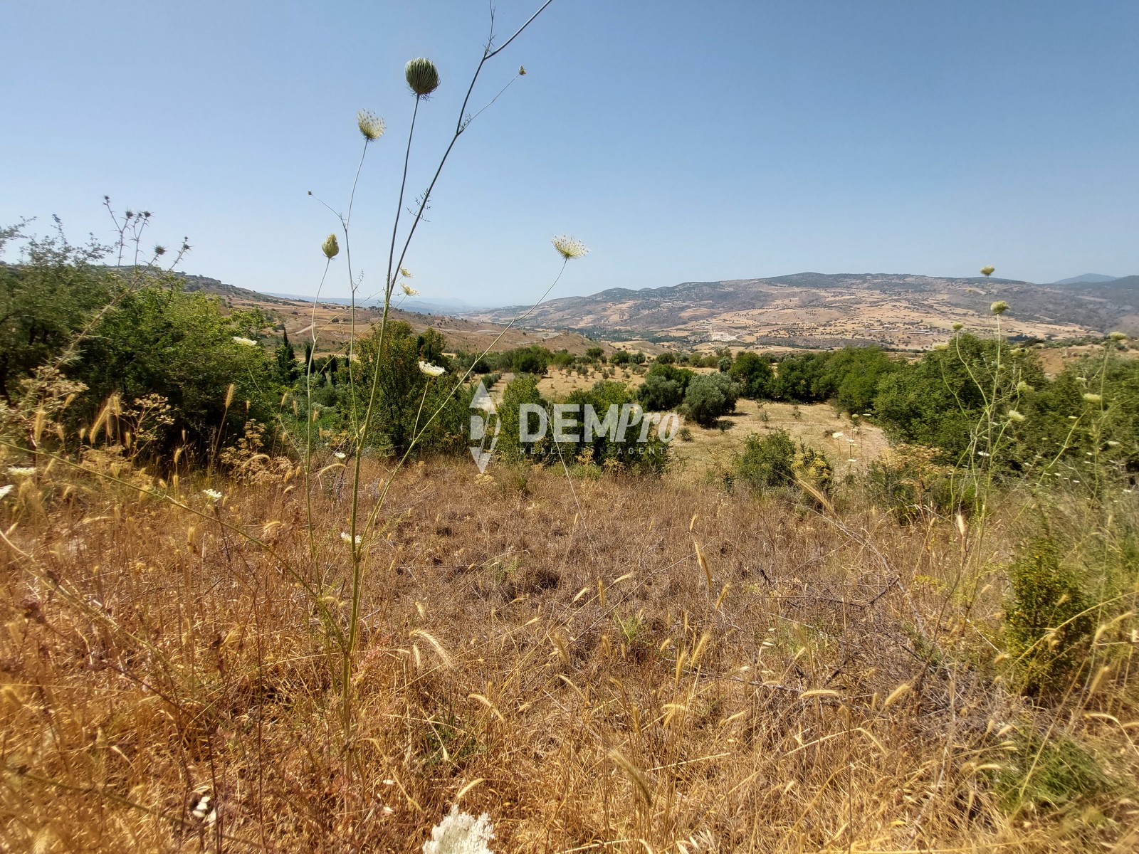 Agricultural Land in Fiti Paphos