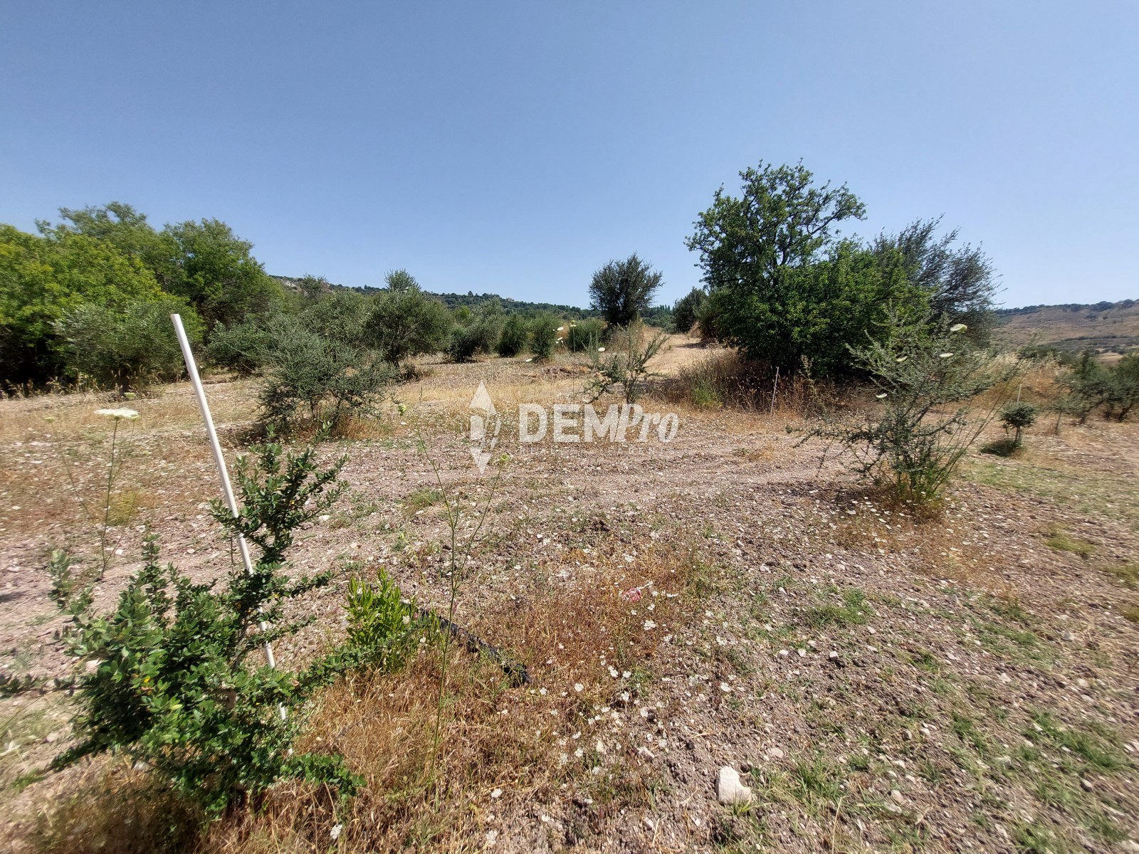 Agricultural Land in Fiti Paphos