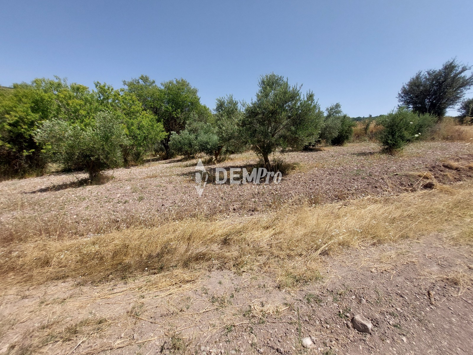 Agricultural Land in Fiti Paphos