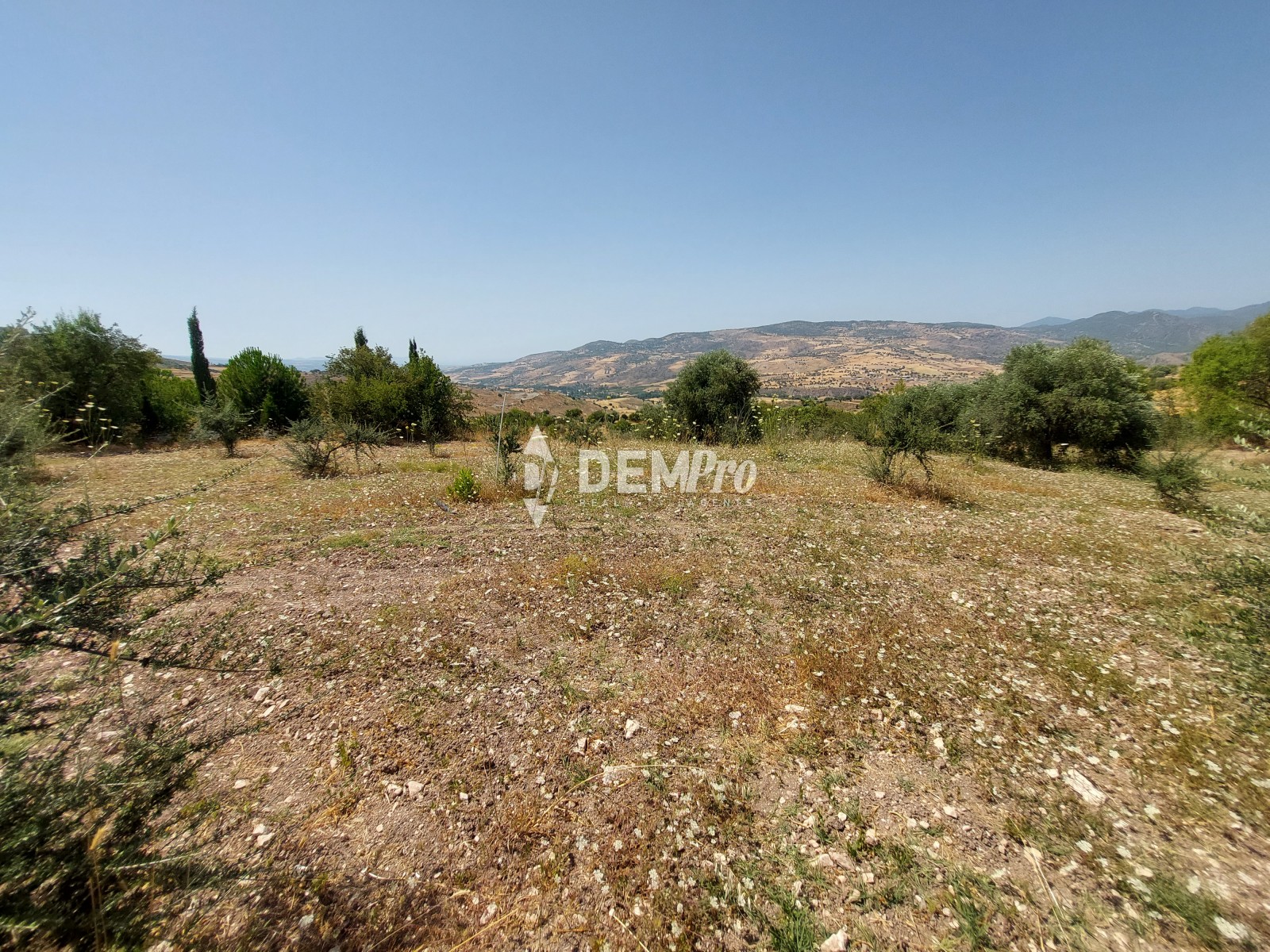Agricultural Land in Fiti Paphos