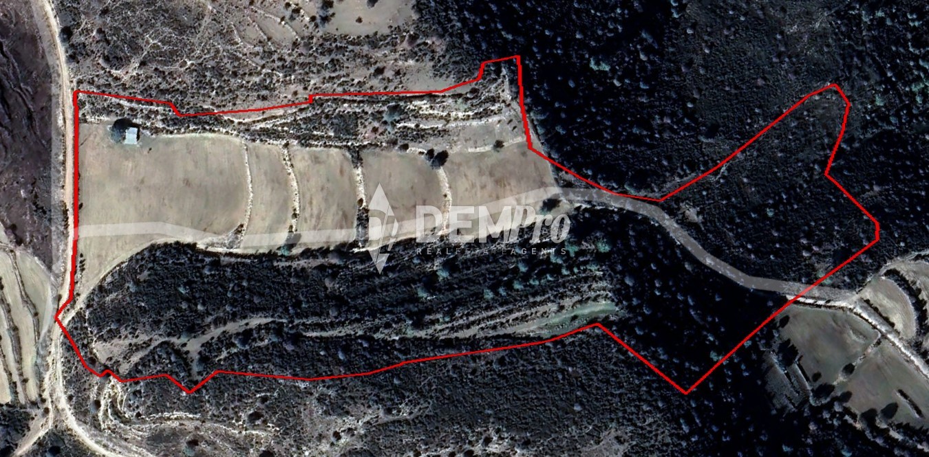 For Sale Agricultural Land in Paphos 
