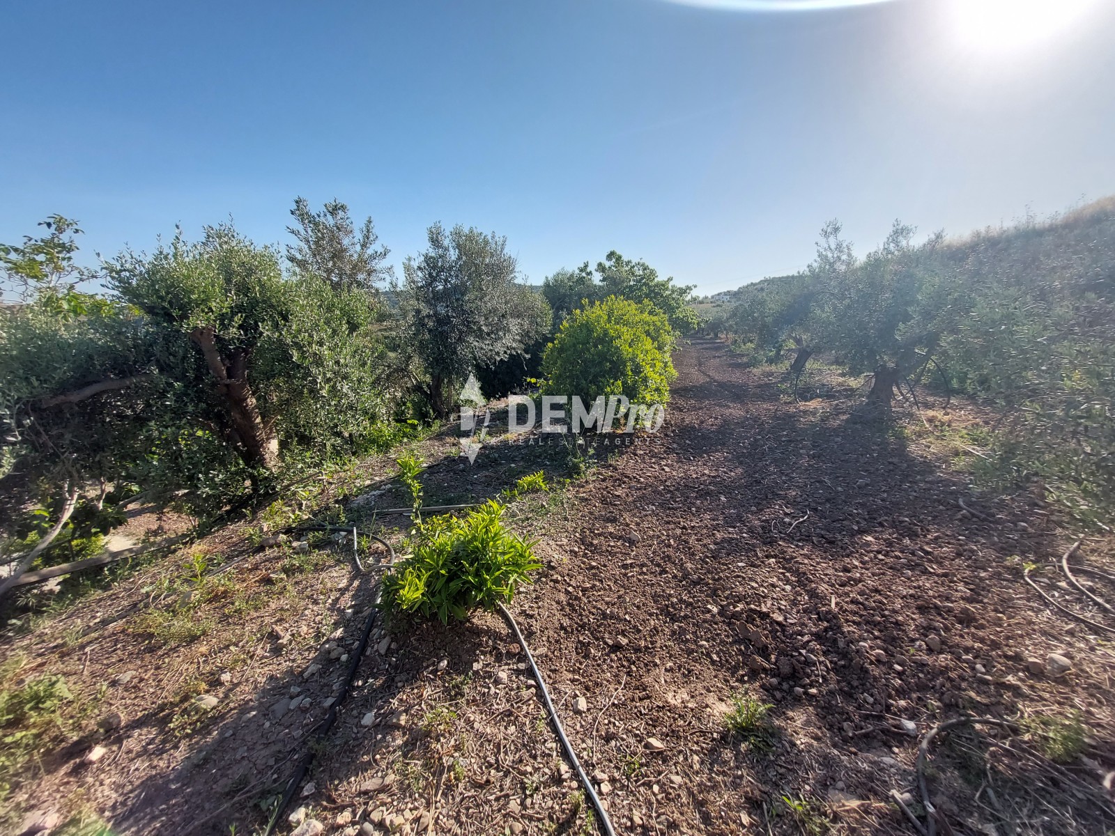 For Sale Country House in Nata Village