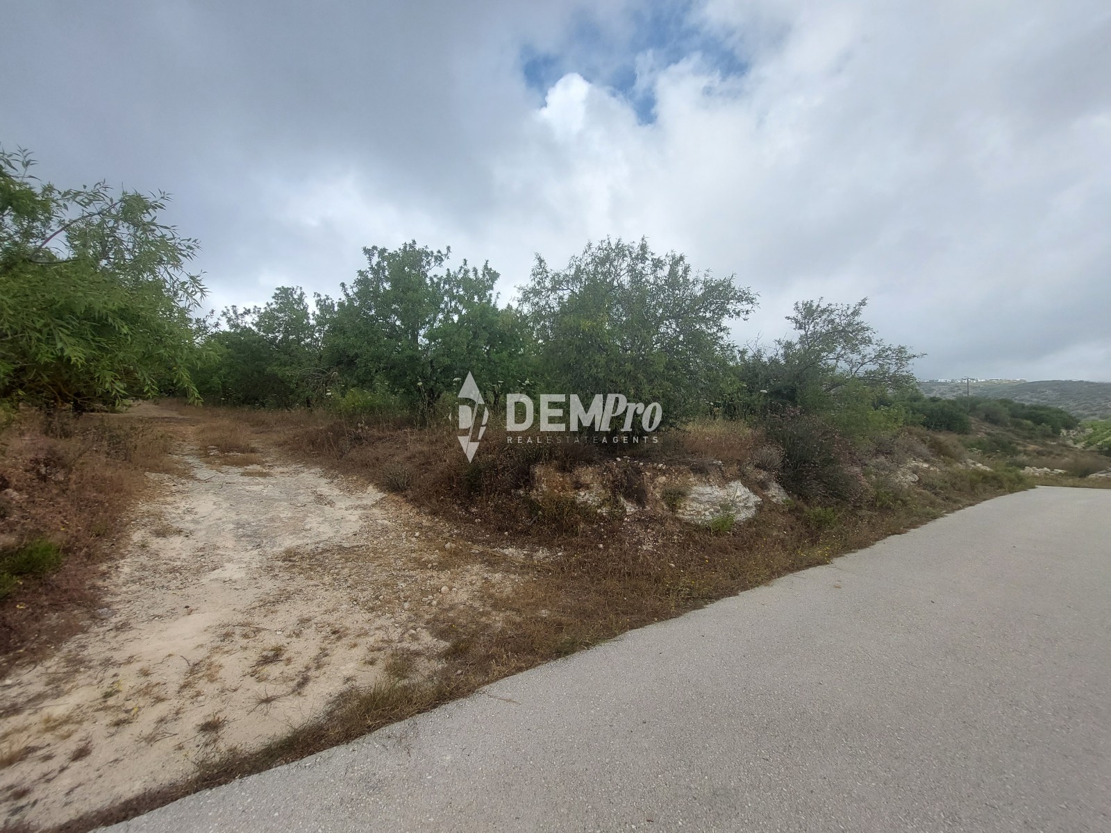 For Sale Agricultural Land in Armou - Paphos 