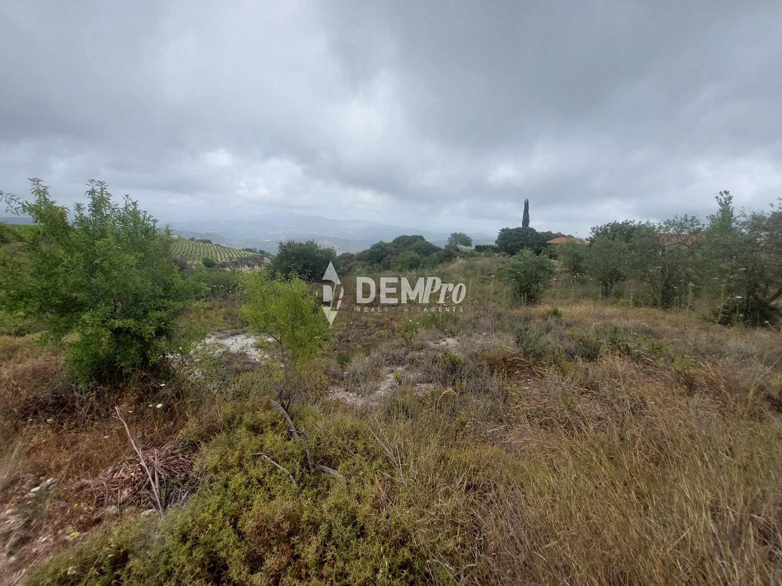 For Sale Agricultural Land in Armou - Paphos 