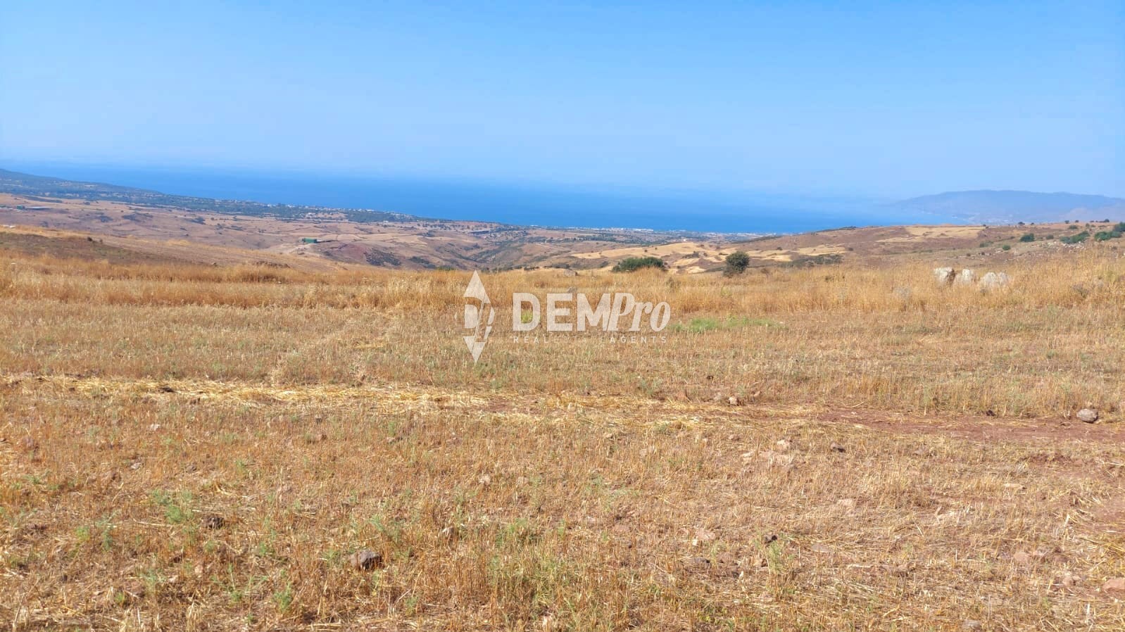 Agricultural Field in Droushia