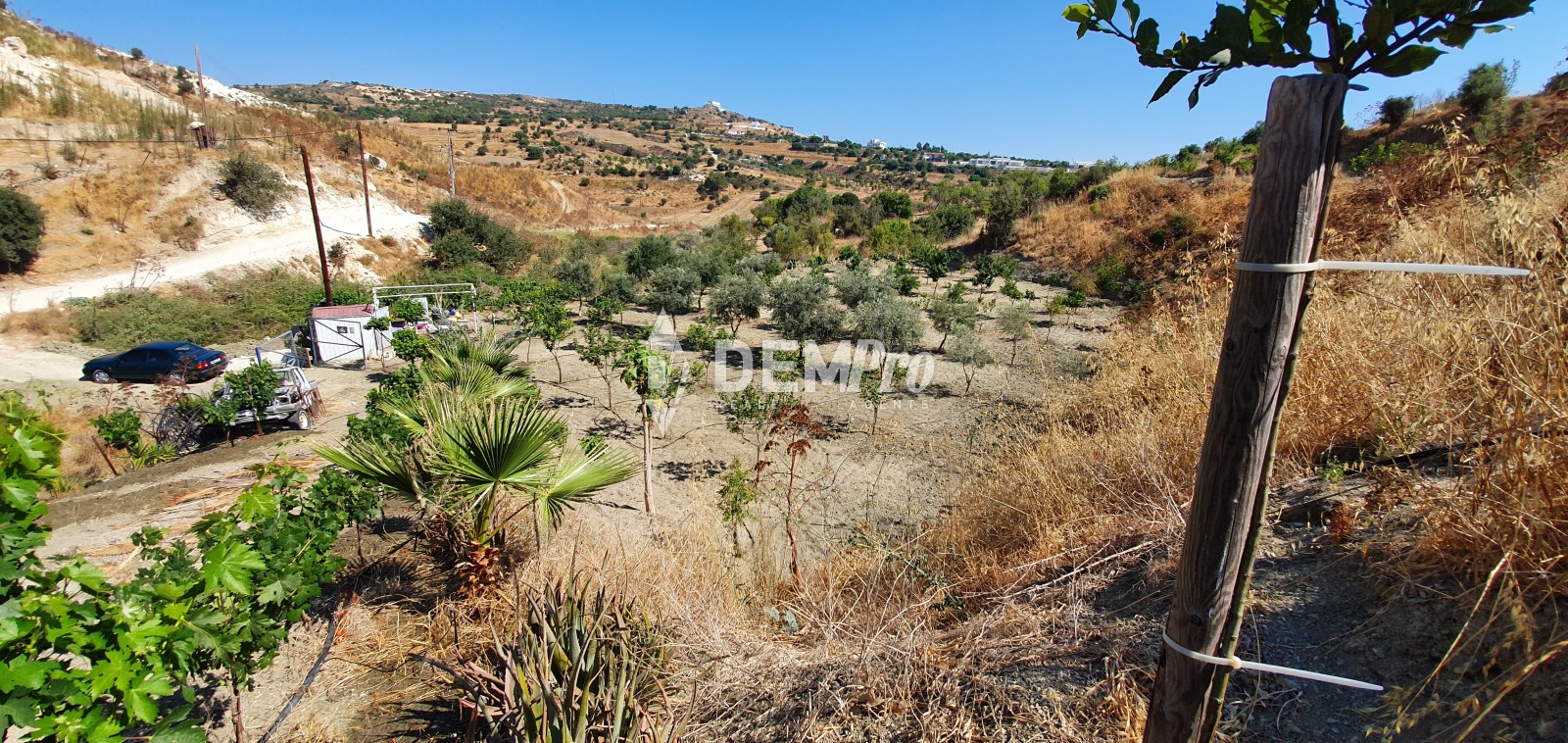 For Sale Agricultural Field in Armou - Paphos