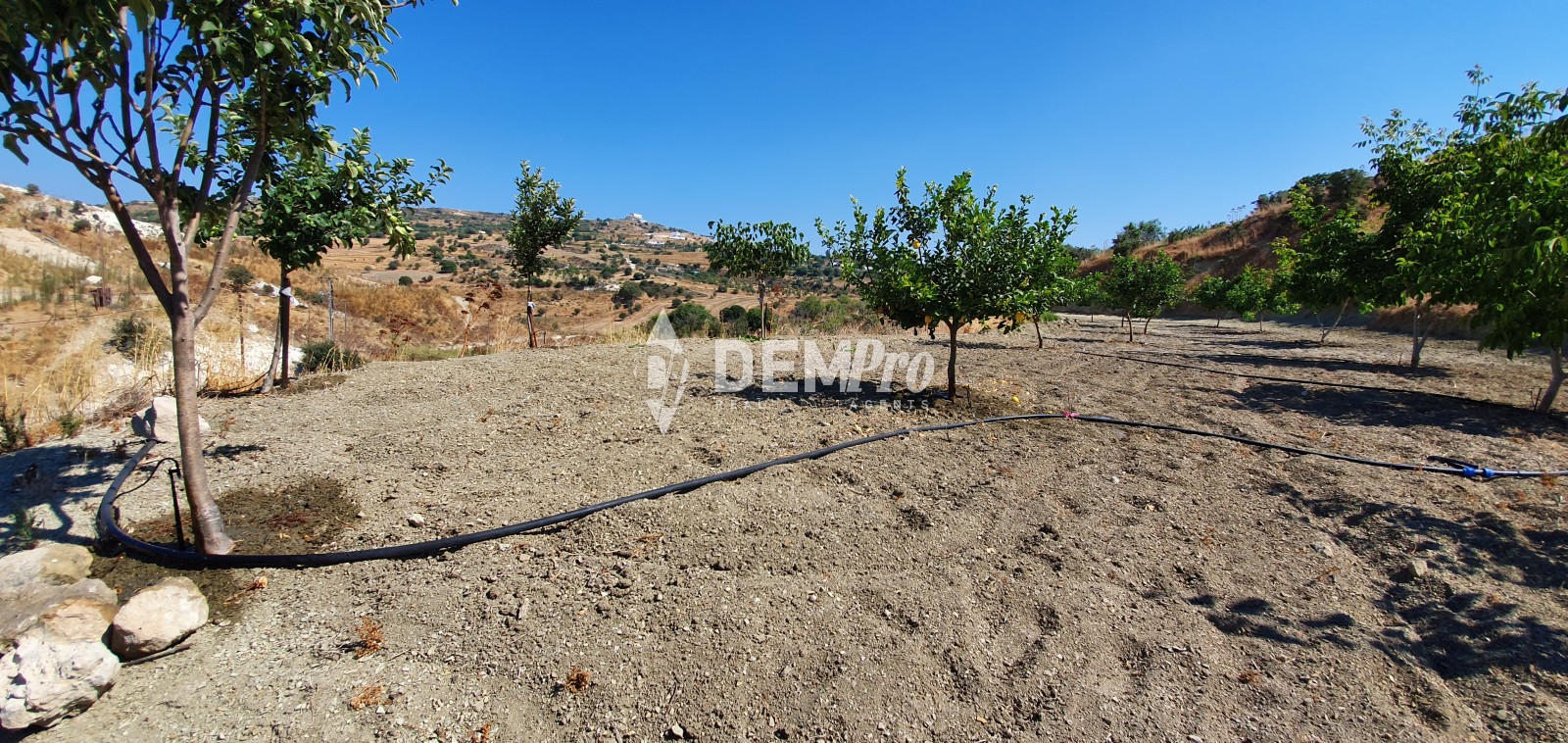 For Sale Agricultural Field in Armou - Paphos