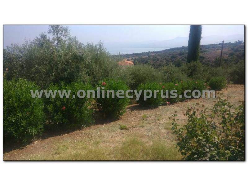 3 bed Bungalow in Neo Chorio / Latchi