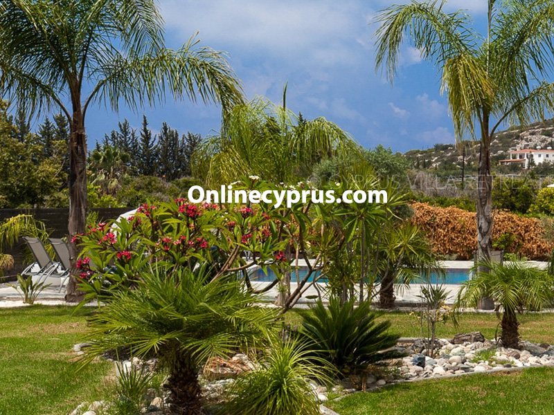 Luxury 7 bed villa in peyia for log term rent