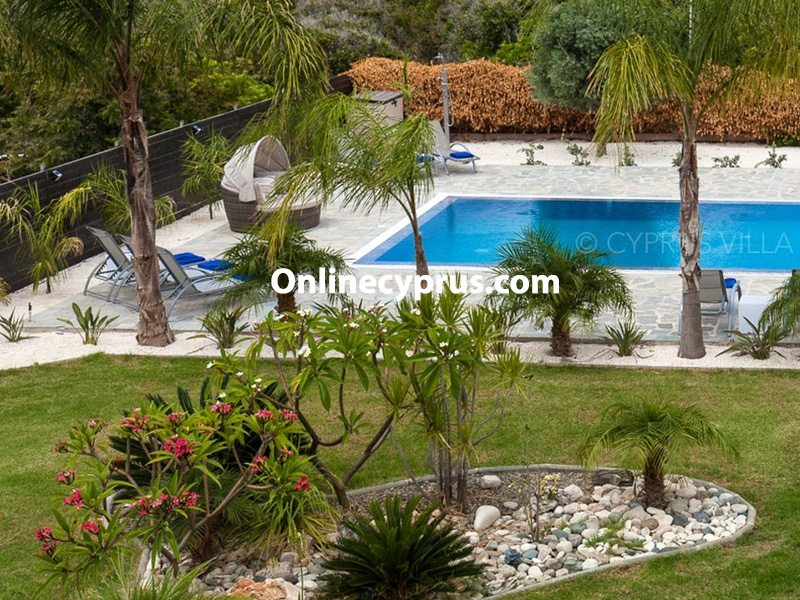 Luxury 7 bed villa in peyia for log term rent