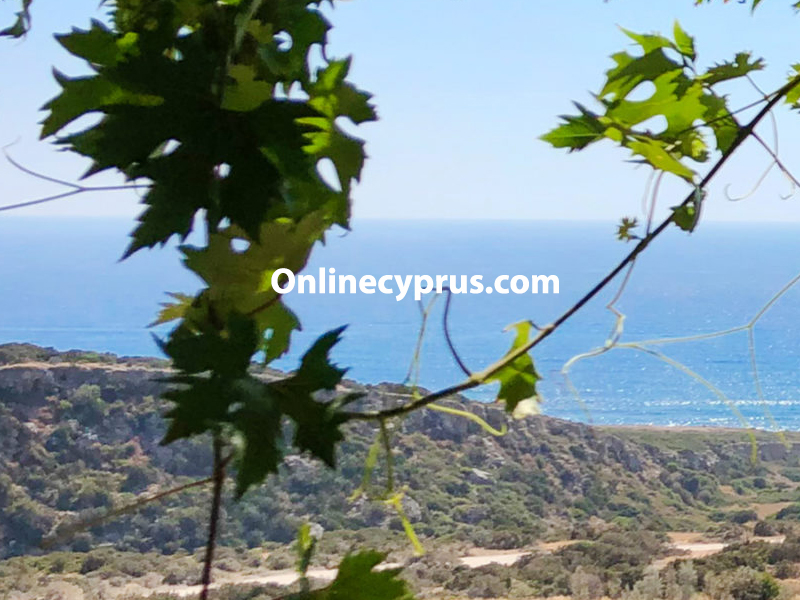 Villa for long term rent 5 bed Villa with Pool - Paphos