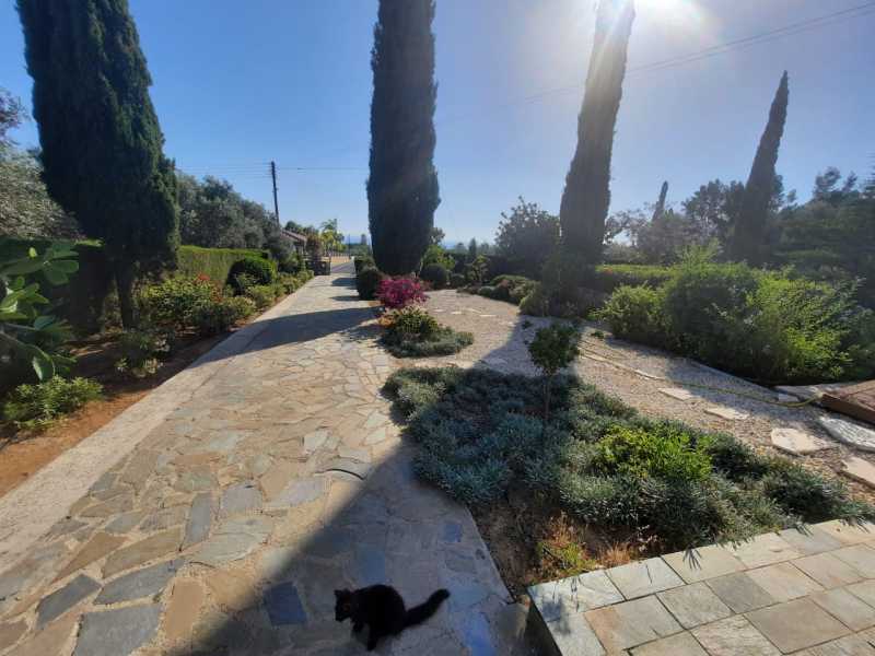 Spacious villa for long term rent in Lower Tala