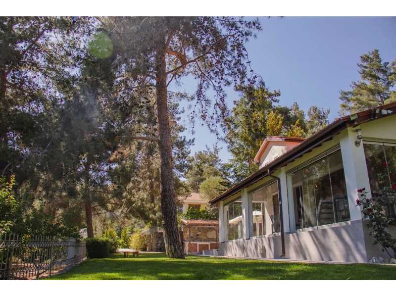 Luxury villa for long term rent
