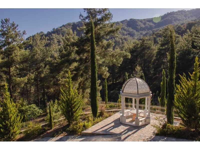 Luxury villa for long term rent