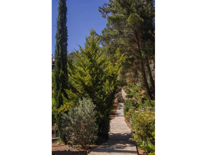 Luxury villa for long term rent