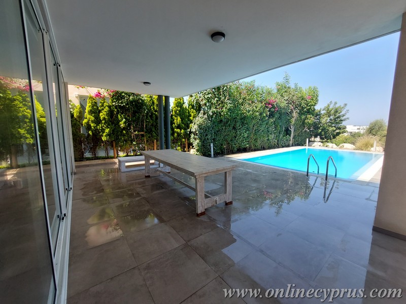 Modern villa for long term rent in Chloraka 