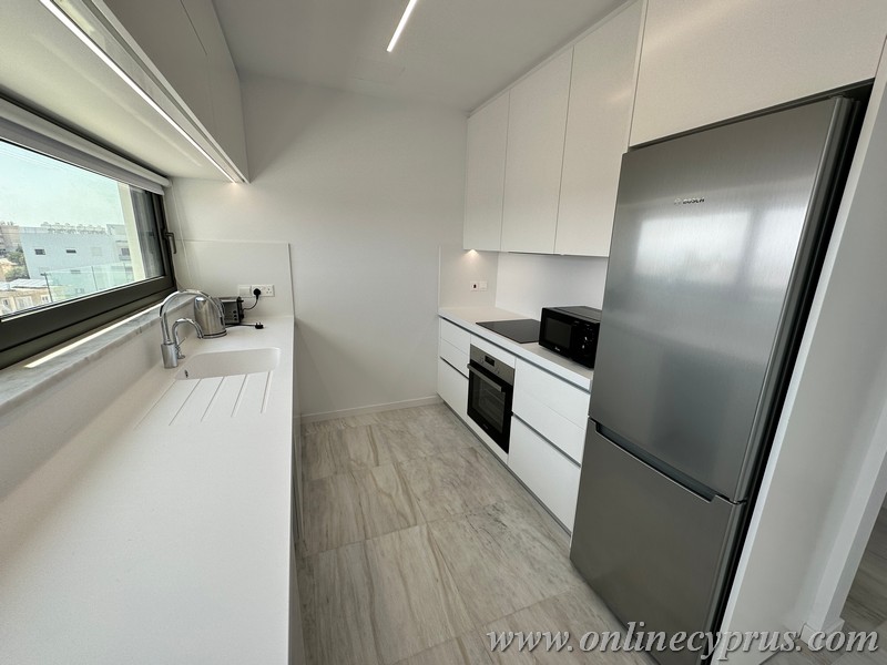 Luxury brand new apartment for long term rent 