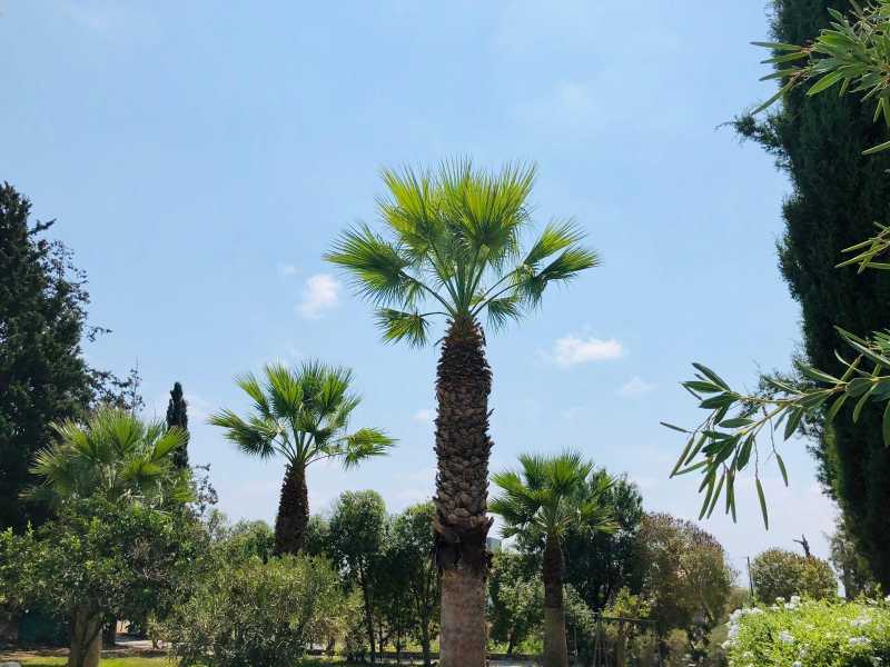 Semidetached villa with Private pool