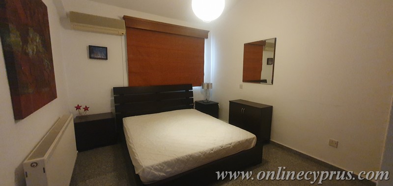 Spacious villa for long term rent in Mesoyi