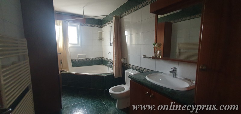 Spacious villa for long term rent in Mesoyi