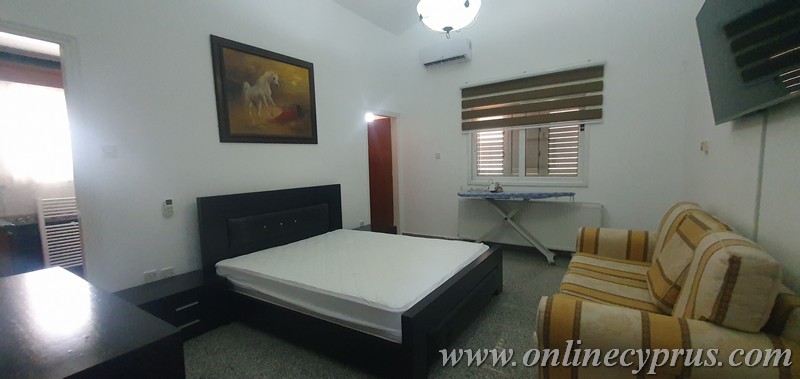 Spacious villa for long term rent in Mesoyi