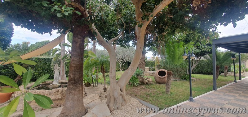 Spacious villa for long term rent in Mesoyi