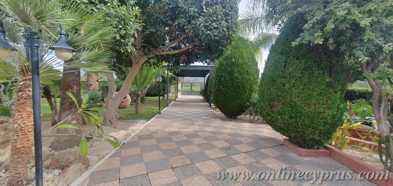 Spacious villa for long term rent in Mesoyi