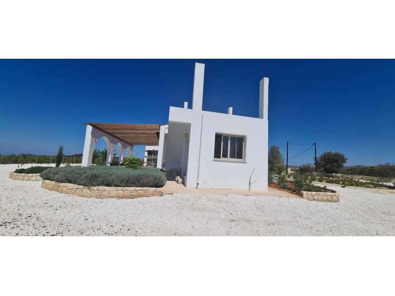 Bungalow for long term rent in Kathikas
