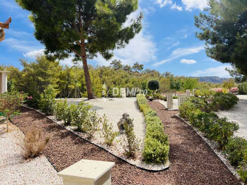 Villa For Sale in Argaka, Paphos - DP4298