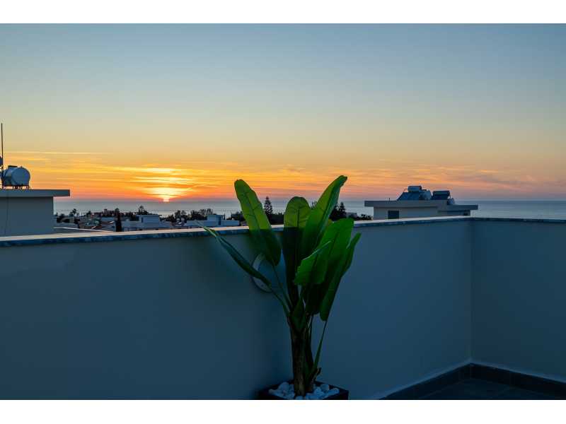 Luxury villa for long term rent