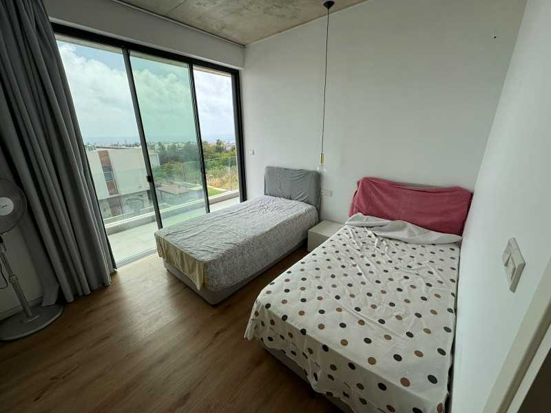 Modern villa