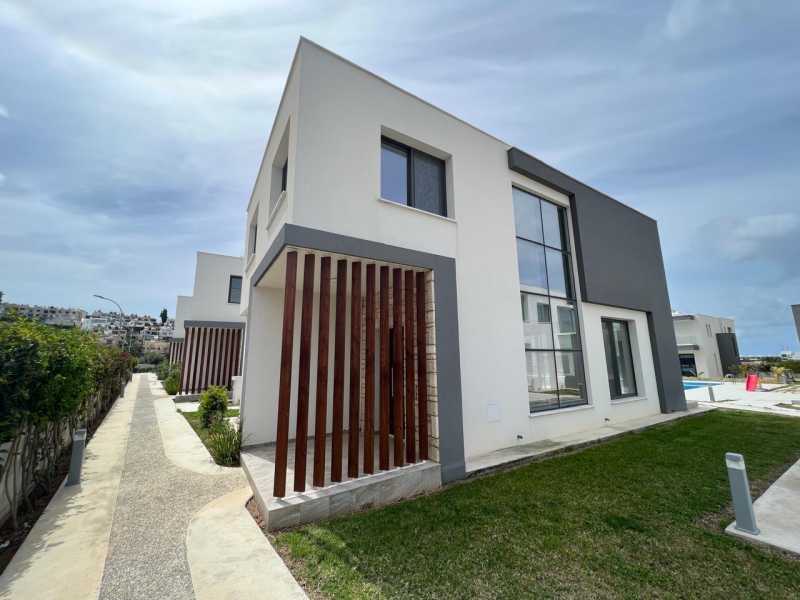 Modern villa for long term rent in Chloraka