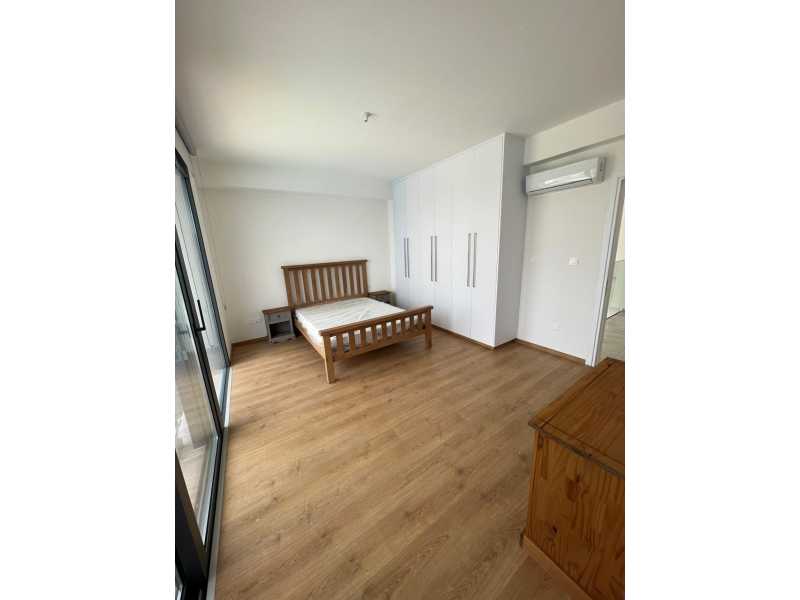 Modern villa for long term rent in Chloraka