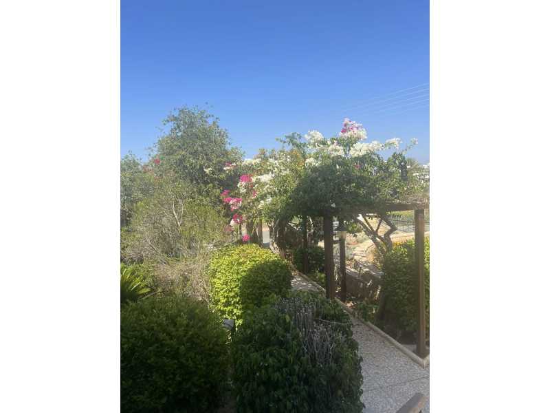 Villa for sale in Tala