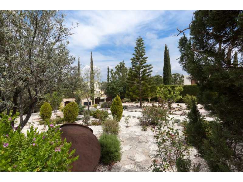 Lovely villa for long term rent in Aphrodite Hills