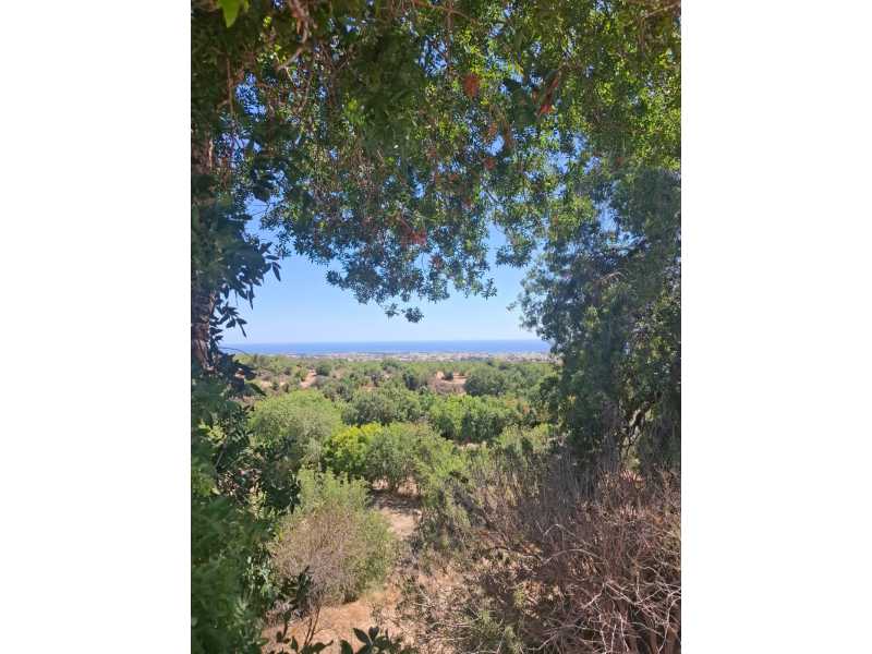 Lovely bungalow for long term rent in Mesoyi