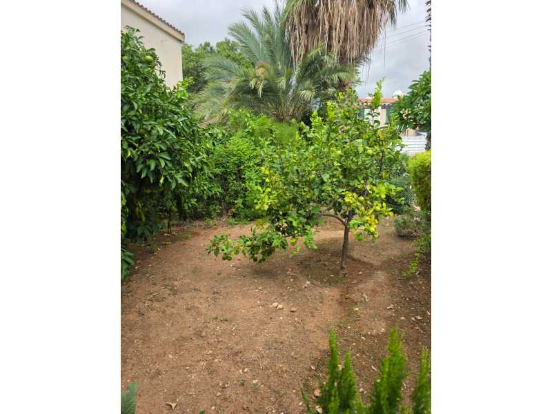 4 bedroom house in Peyia